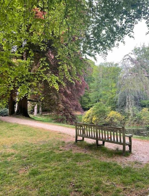 Magical Cottage In The Woods Baarn Bagian luar foto